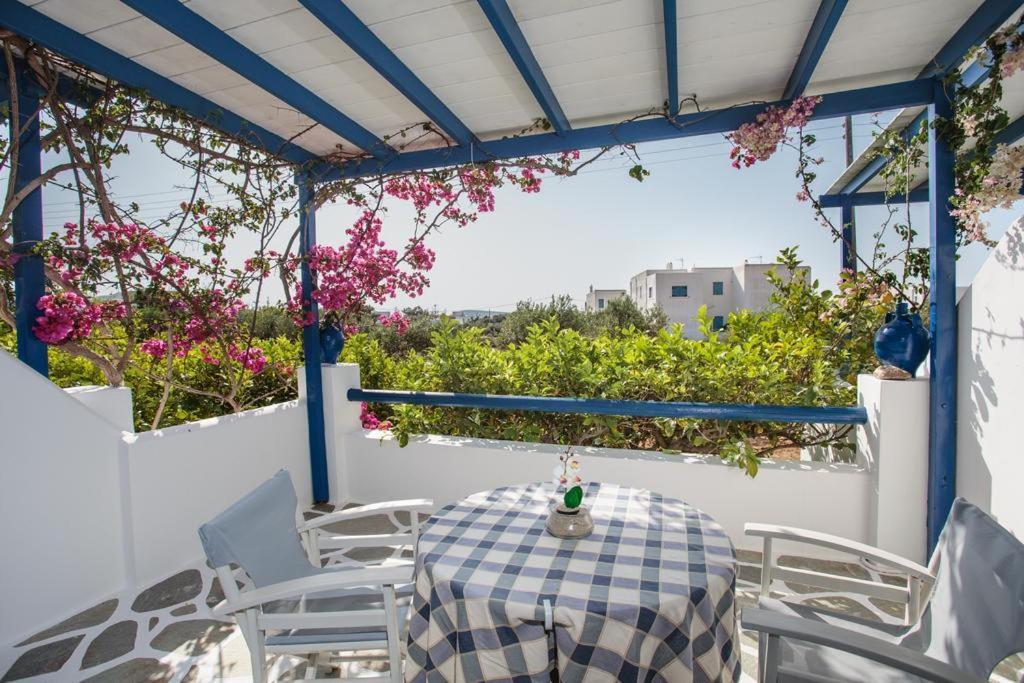 Betty Apartments Drios Rum bild